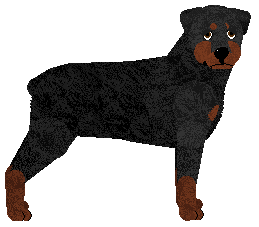 Profile image of DeeOhGee's Los Angeles