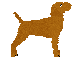 Rosestone's Keep The Change — “Coin”