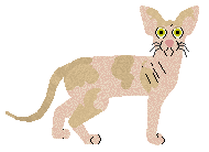 Profile image of Glitterfeet's Speckled Hen