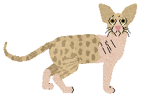 Glitterfeet's Thirsty Ferret — “Extra”