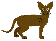 Glitterfeet's Hobgoblin — “Cara”