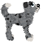 EC's Of Mist and Midnight Skies — “Timber Frost”