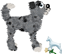 Profile image of EC's Of Mist and Midnight Skies