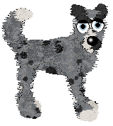 EC's Of Mist and Midnight Skies — “Timber Frost”