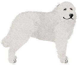 Profile image of Polka Prosto z gór