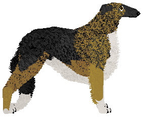 Dragosani PIEŚŃ SŁONECZNA — “Dominik”