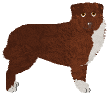 Profile image of Dragosani SZCZĘSCIA MILIMETR