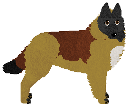 Profile image of Dragosani MOUNT EVEREST of My Vertical World