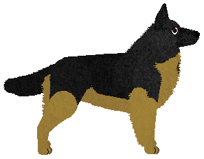 Flashburn Shaman King — “Sheva”