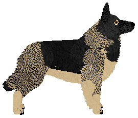 Dragosani RAINY WEATHER — “Arya”