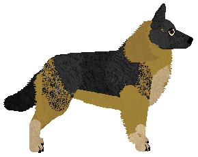 Dragosani OBYWATEL CAŁEGO ŚWIATA — “Hollis”