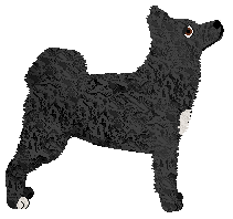 Imagination With your Friends — “Aisha”