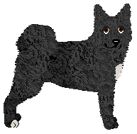 Profile image of Imagination With your Friends