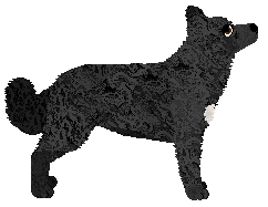 Wait For It' I WANT IT ALL — “All”