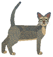 Glitterfeet's Spiteful Thing — “Poppy”