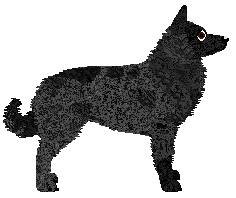 Limerick Criminal Class — “Oro”