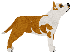 My Lullaby HARlEQUIN of Suburbia — “Harleq”