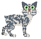 Profile image of Arrow's Radiance