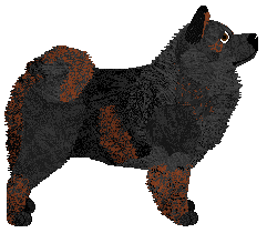 Pogarda LAST WISHMAS — “Nostalgia”