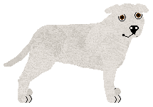 Profile image of NES's Nestor in a crooked little town