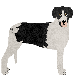 Profile image of Blizzard Furia