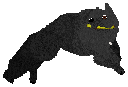 Aye Aye's Tropic Lightning — “Gloria”