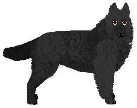 Aye Aye's Tropic Lightning — “Gloria”