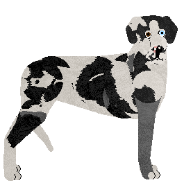 Profile image of UMA of Amore Mio