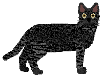 Glitterfeet's Indoor Wildcat — “Snarky”