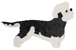 SWSK's Walking in Memphis — “Titus”