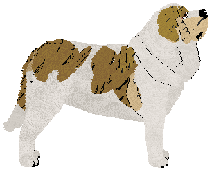 Dragosani Cyberpirate — “Rigger”