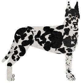 Profile image of Dragosani FENIKS Z POPIOŁÓW