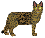 Profile image of Glitterfeet's Hybrid Vigour