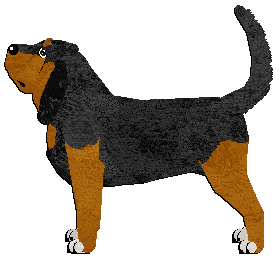 Profile image of Dalheaf Sound The Bugle