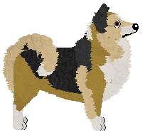 Dragosani MARY JANE — “Mary Jane”