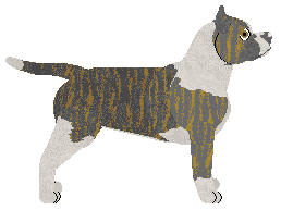 Dystopia Future Awaits — “Priya”