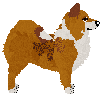 Dragosani REGGIANO — “Reggie”