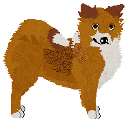 Profile image of Dragosani REGGIANO