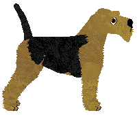 Deithwen All About That Bass — “Bronx”