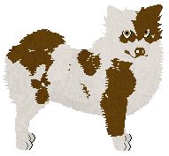 Profile image of Dragosani SAMBRIBENT