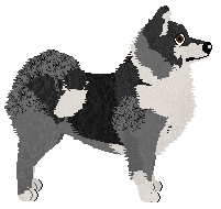 Dragosani I GREET YOU IN FACT — “Zen”