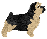 Hipertrofia's DZIERZBA — “Dzierzba”