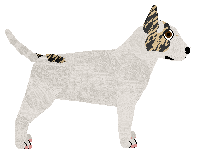 Cansas' Reign of Love — “Maddie”