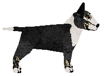 Flashburn Drinks On Us — “Marcello”