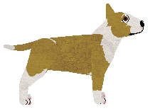 My Lullaby ŁEBSKI HARRY — “Harry”