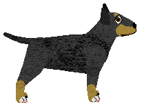 Lemon Tree of Kezia — “Tesla”