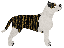 Dystopia End of Innocence — “Prisha”