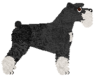 Stolz Empire Creator — “Baxter”