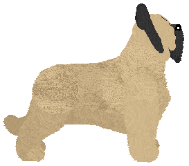 Kolor Magii DEXTER MORGAN — “Dexter”