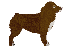 Cansas' Cookie Crisp — “Choco”